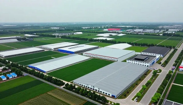展示工具在数据处理场景中的实际应用与挑战